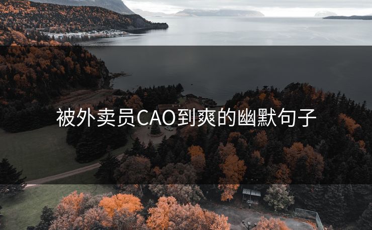 被外卖员CAO到爽的幽默句子