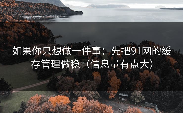 如果你只想做一件事:先把91网的缓存管理做稳(信息量有点大) 如果你只想做一件事:先把91网的缓存管理做稳(信息量有点大)