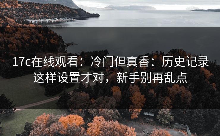 17c在线观看：冷门但真香：历史记录这样设置才对，新手别再乱点